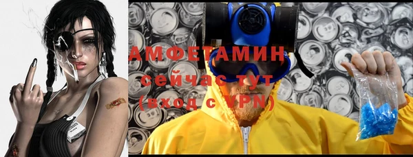 дмт Бородино
