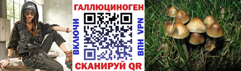 Псилоцибиновые грибы мицелий  Купить  Нариманов 